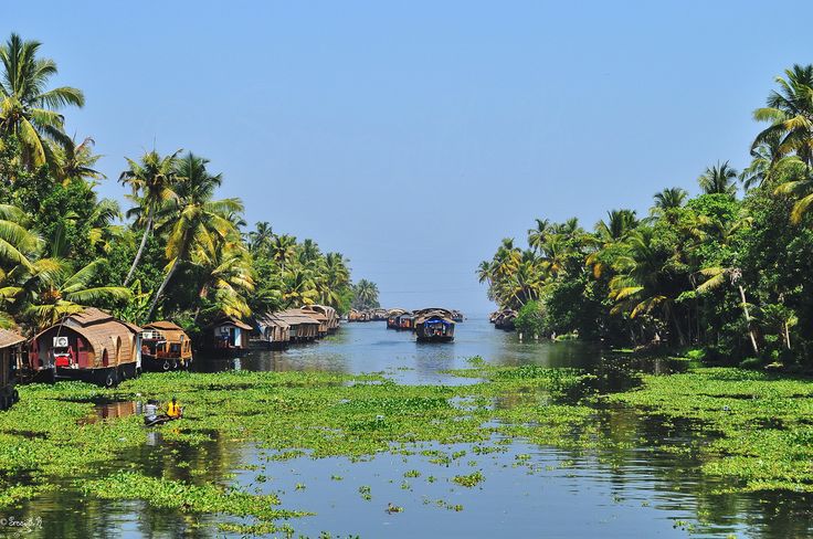 Alappuzha-Backwaters image